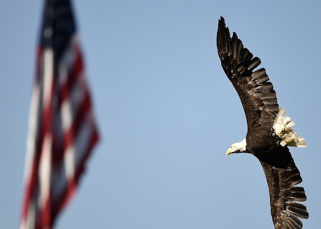 American-flag-eagle