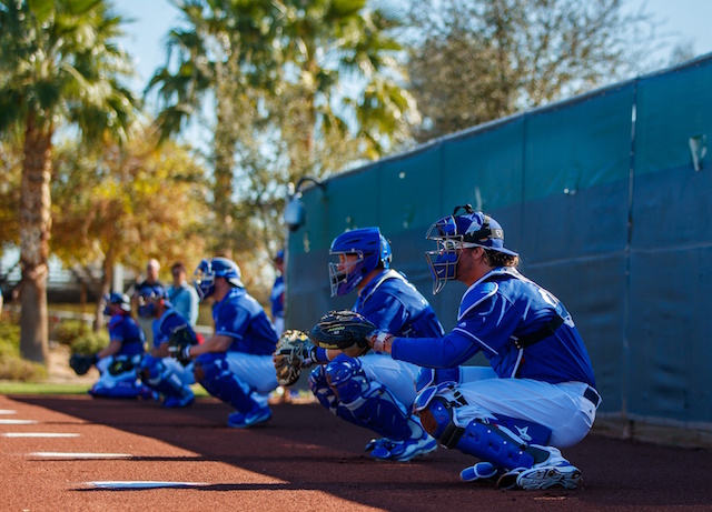 Dodgers-catchers-2017-spring-training