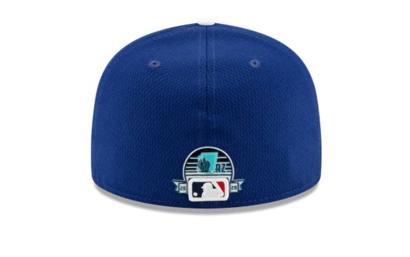 2020 Los Angeles Dodgers Spring Training and batting practice cap