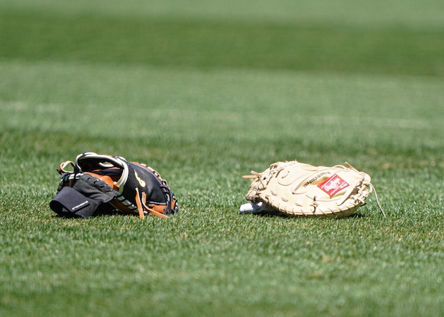 Gloves, Rawlings