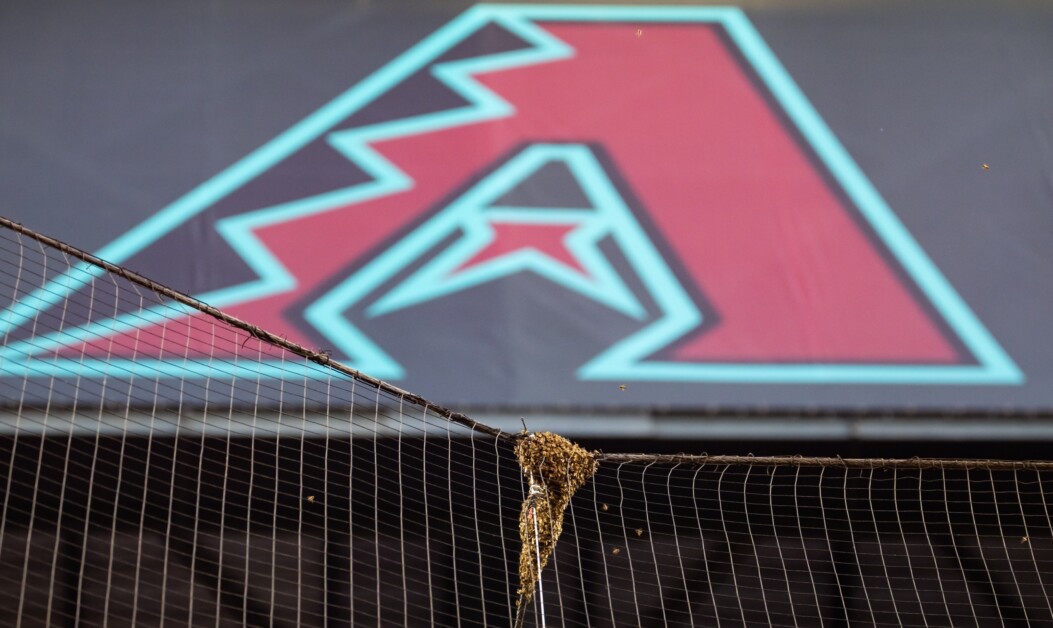 Chase Field, Diamondbacks Logo, Bees, Bee colony