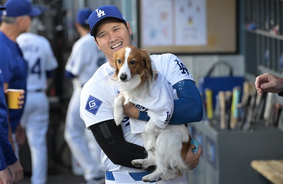 Watch Shohei Ohtani's Dog, Decoy, Throw Out First Pitch At Dodger