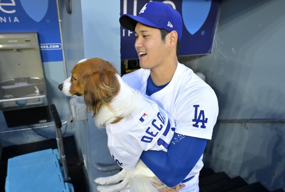 Shohei Ohtani, Decoy, Dekopin, Shohei Ohtani bobblehead night