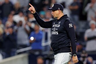 Aaron Boone, pitching change, 2024 World Series