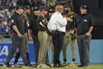 Fernando Tatis Jr., Mike Shildt, Dodgers security guard Al, Dodger Stadium security, 2024 NLDS