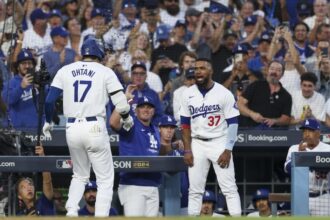 Shohei Ohtani, Teoscar Hernández, Aaron Bates, Danny Lehmann, Dave Roberts, Jon SooHoo, sunflower seeds celebration, 024 NLDS