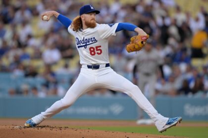 Dustin May