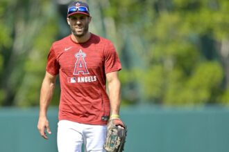 Chris Taylor