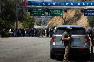 ICE agents, Department of Homeland Security, protestors, Dodger Stadium entrance