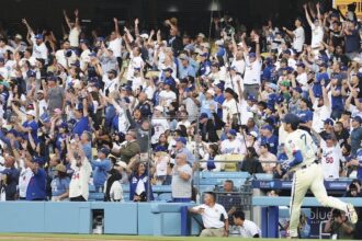Shohei Ohtani, Dodgers fans, Dodgers City Connect