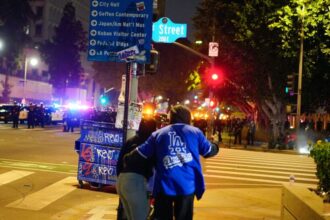 Dodgers fans, Los Angeles Protests, ICE, immigration protests
