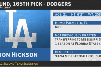 Davion Hickson, 2025 MLB Draft