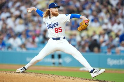 Dustin May