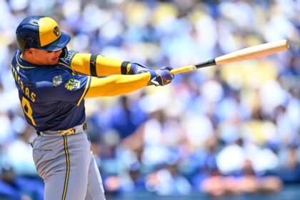 William Contreras
