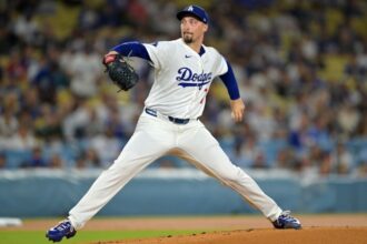 Blake Snell