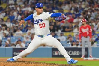 Edgardo Henriquez, 2025 Wild Card Series