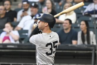 Cody Bellinger torpedo bat