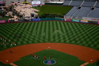 Garret Anderson tribute, Angel Stadium view