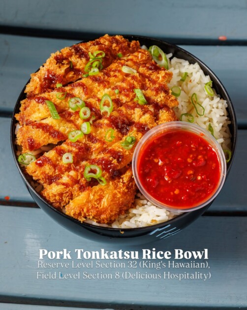 Pork tonkatsu rice bowl, Japanese Heritage Night 2026