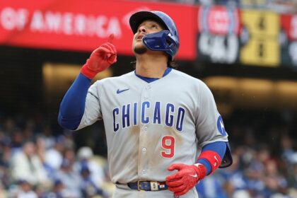 Miguel Amaya