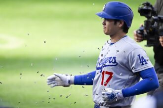 Shohei Ohtani, Dodgers sunflower seeds celebration